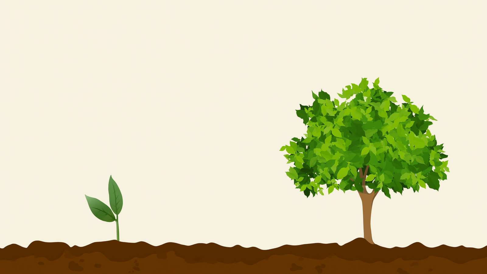 Illustration of a small seedling on the left growing into a full, leafy tree on the right.